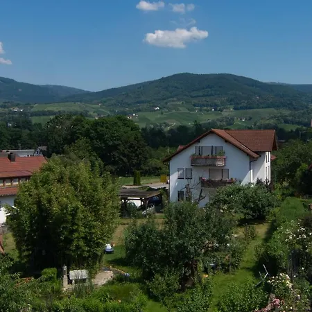 Apartment Hornisgrindeblick