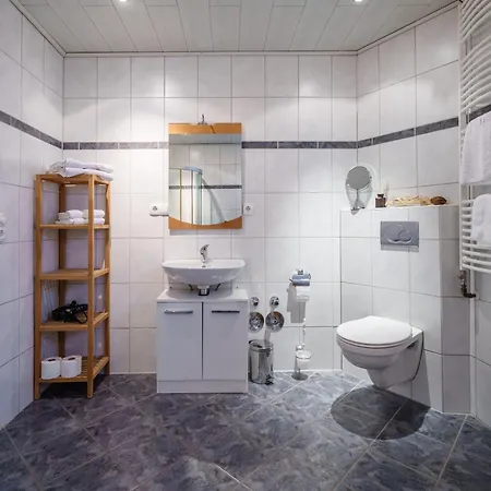 アパート Hornisgrindeblick *